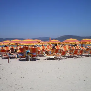 Actinia Olaszország
